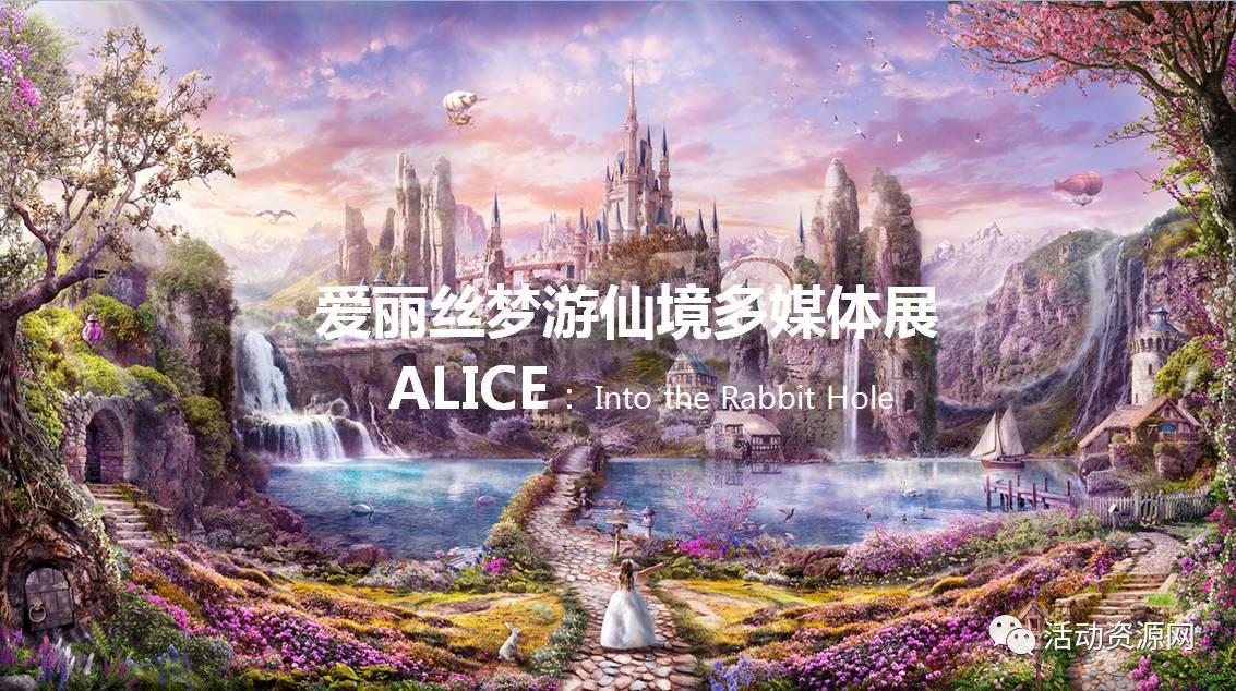 救援小袋熊